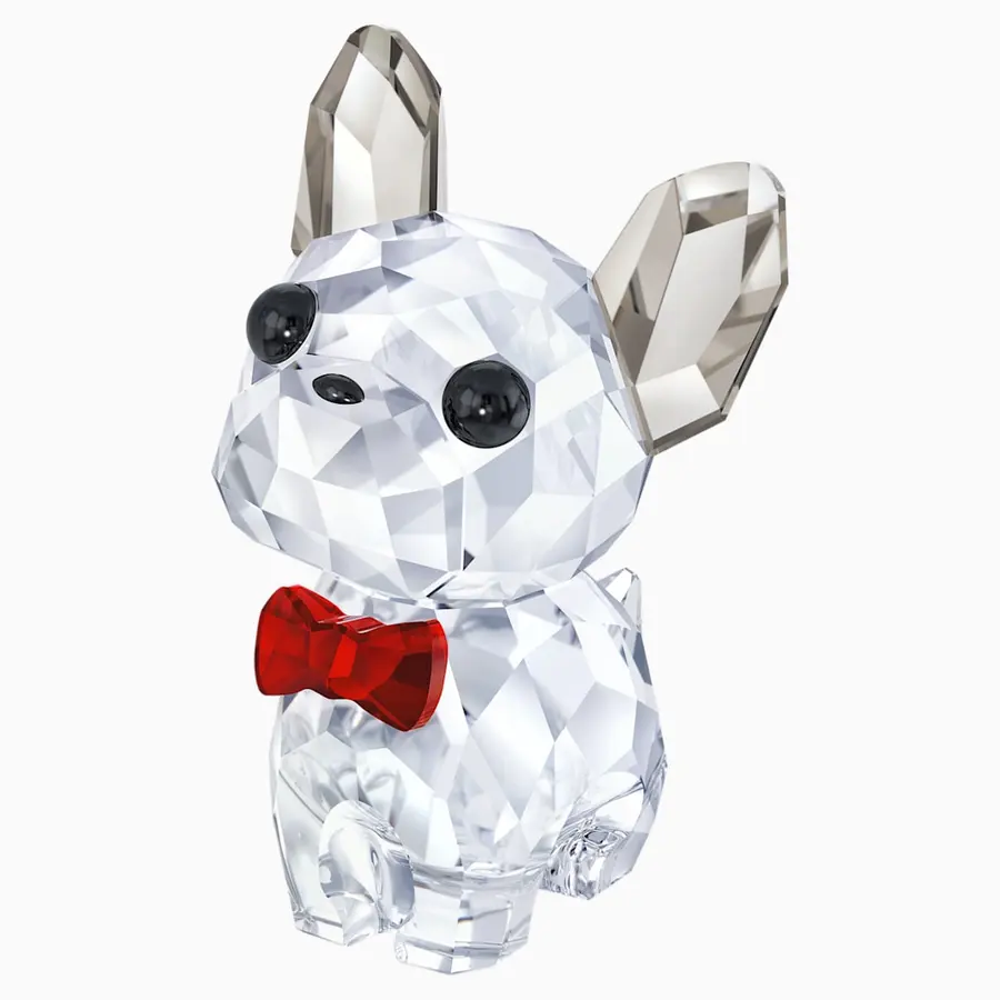 Silver Radiant Fashion Accessory