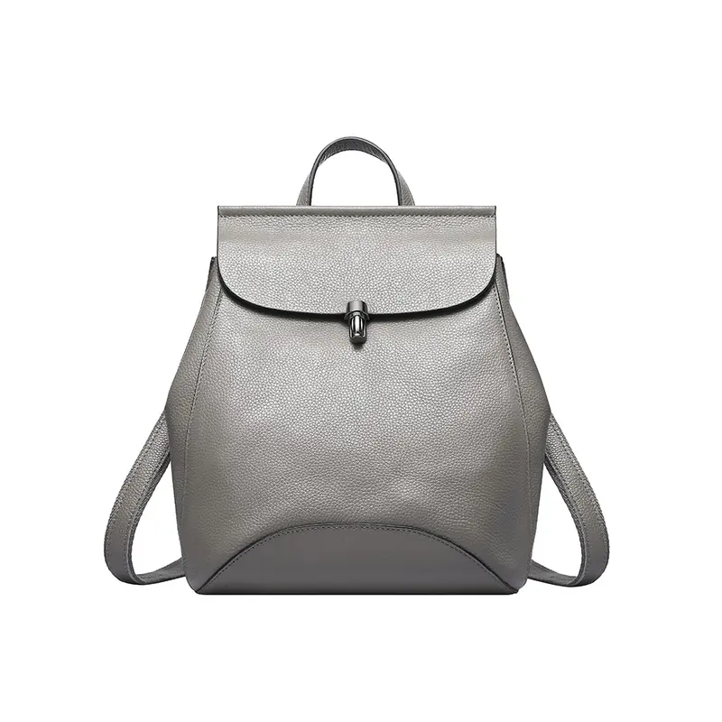 Silver Radiant Travel Wallet
