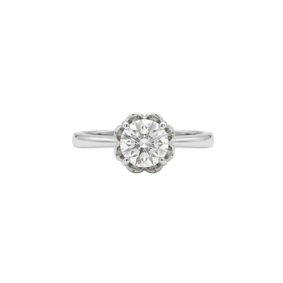 Whiten Graceful Luxury Accent